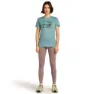 Icebreaker Merino 150 Tech Lite Terrain Kortarmet T-skjorte