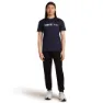 Icebreaker Merino 150 Tech Lite The Peaks Kortarmet T-skjorte