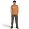 Icebreaker Merino 150 Tech Lite The Peaks Kortarmet T-skjorte