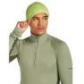 Icebreaker Merino 260 Quantum Lue, Peridot