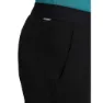 Icebreaker Merino Blend 300 Realfleece™ Descender Joggers