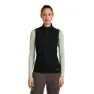 Icebreaker Merino Blend 300 Realfleece™ Descender Vest