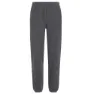 Icebreaker Merino Blend 800 Realfleece™ Classic Pile Bukser