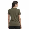 Icebreaker Merino Central Classic Kortarmet T-skjorte