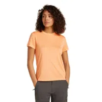 Icebreaker Merino Core Kortarmet T-skjorte