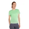 Icebreaker Merino Core Plume Kortarmet T-skjorte
