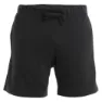 Icebreaker Merino Shifter Ii Shorts