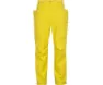 Icebreaker Shell+ Pants Men, Shine
