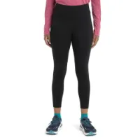 Icebreaker Speed Winter Merino Leggings