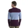 Icebreaker Waypoint Merino Genser, Nightshade / kyanite