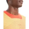 Icebreaker Zoneknit™ Geodetic Kortarmet T-skjorte, Summer / vibrant earth / aop