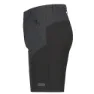 Icepeak Batavia Shorts