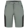 Icepeak Batavia Shorts