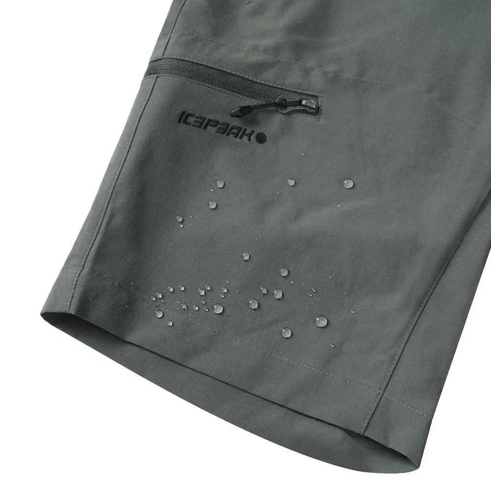 Icepeak Berwyn Shorts Icepeak Berwyn Shorts