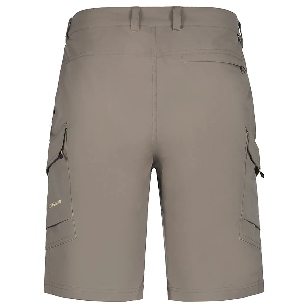 Icepeak Braswell Shorts Icepeak Braswell Shorts