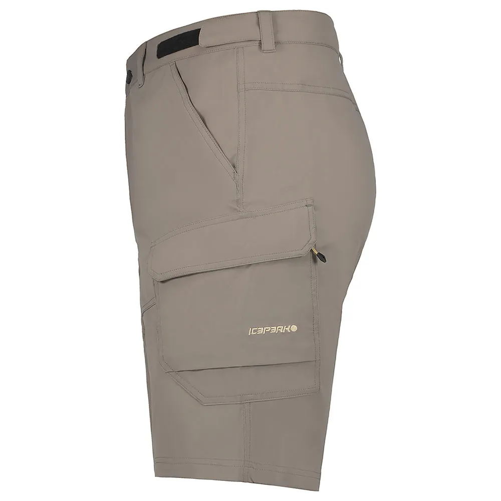 Icepeak Braswell Shorts Icepeak Braswell Shorts
