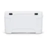 Igloo Coolers Contour 70 66l Stiv Bærbar Kjøleboks, White, One Size