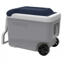 Igloo Coolers Maxcold 40l Stiv Bærbar Kjøleboks