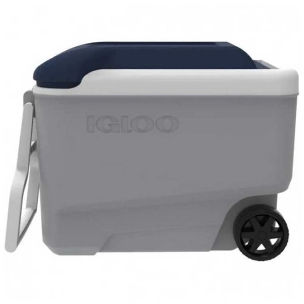 Igloo Coolers Maxcold 40l Stiv Bærbar Kjøleboks, Grey / white / blue, 58 x 33 x 45cm Igloo Coolers Maxcold 40l Stiv Bærbar Kjøleboks, Grey / white / blue, 58 x 33 x 45cm