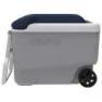Igloo Coolers Maxcold 40l Stiv Bærbar Kjøleboks, Grey / white / blue, 58 x 33 x 45cm