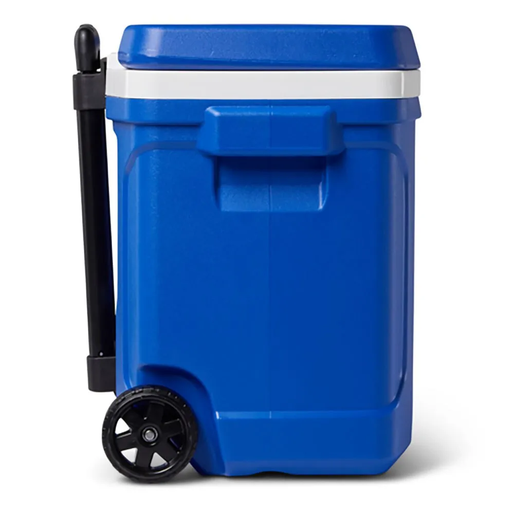 Igloo Coolers Profile Majestic 28 26l Stiv Bærbar Kjøleboks, Blue, One Size Igloo Coolers Profile Majestic 28 26l Stiv Bærbar Kjøleboks, Blue, One Size