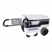 Igloo Coolers Trailmate Marine 70 66l Stiv Bærbar Kjøleboks Igloo Coolers Trailmate Marine 70 66l Stiv Bærbar Kjøleboks