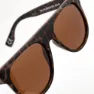 Iguana Izrad Solbriller, Brown, One Size
