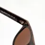 Iguana Izrad Solbriller, Brown, One Size