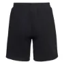 Iguana Mawimbi Shorts