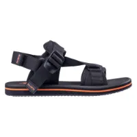 Iguana Ramir Sandaler Iguana Ramir Sandaler