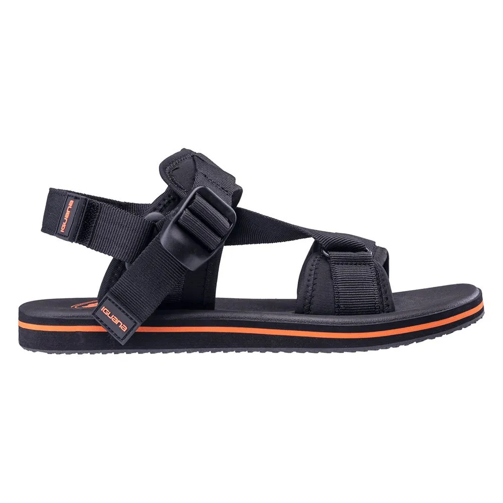 Iguana Ramir Sandaler, Black