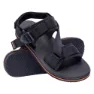 Iguana Ramir Sandaler, Black