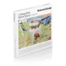 Innova Sammenleggbar Vedovn For Camping, Silver, One Size