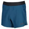 inov-8 Race Elite 5´´ Shorts male, Slate