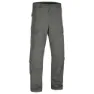 Wolf grey