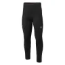 IQ Irone Leggings male