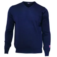 Ivanhoe of Sweden Men's Cashwool V-Neck