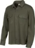 Loden green