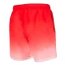 Izas Boe Shorts