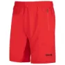 Izas Cinca Shorts male