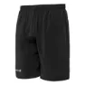 Izas Lerez Shorts male