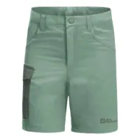Jack Wolfskin Active Shorts