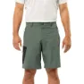 Hedge green 2