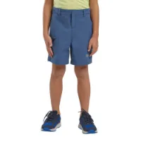 Jack Wolfskin Turbulence Shorts