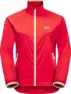 Tulip red