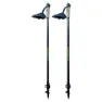 Joluvi Nordic Carbon Pro 2 Spaserstokker, Black / blue, 85-135cm