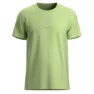 Lime 5
