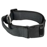 Julius K-9 Collar 40 Mm Hundehalsbånd