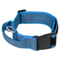 Julius K-9 Collar 40 Mm Hundehalsbånd Julius K-9 Collar 40 Mm Hundehalsbånd