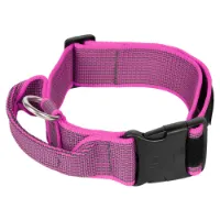 Julius K-9 Collar 40 Mm Hundehalsbånd Julius K-9 Collar 40 Mm Hundehalsbånd